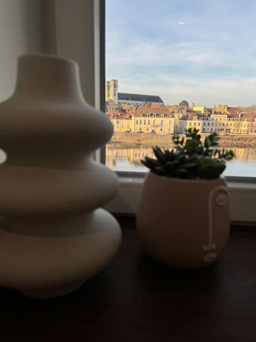 Appartement Avec Magnifique Vue Sur La Saone Et Son Balcon شالو سور سون المظهر الخارجي الصورة