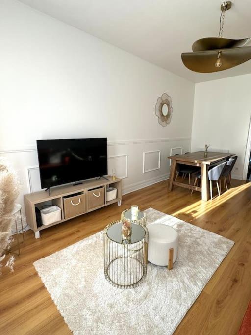 Appartement Avec Magnifique Vue Sur La Saone Et Son Balcon شالو سور سون المظهر الخارجي الصورة