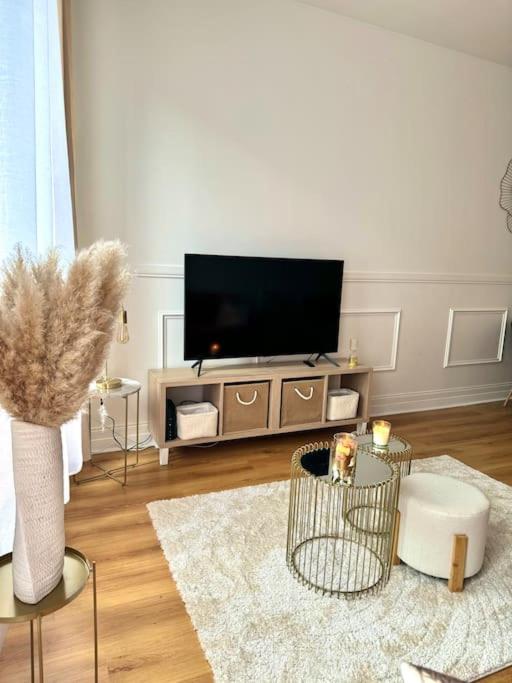 Appartement Avec Magnifique Vue Sur La Saone Et Son Balcon شالو سور سون المظهر الخارجي الصورة